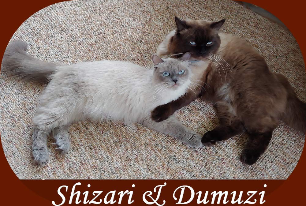 Parents Shizari & Dumuzi