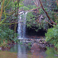 Twin Falls on Bodhi and Leilah's land in Hawaii