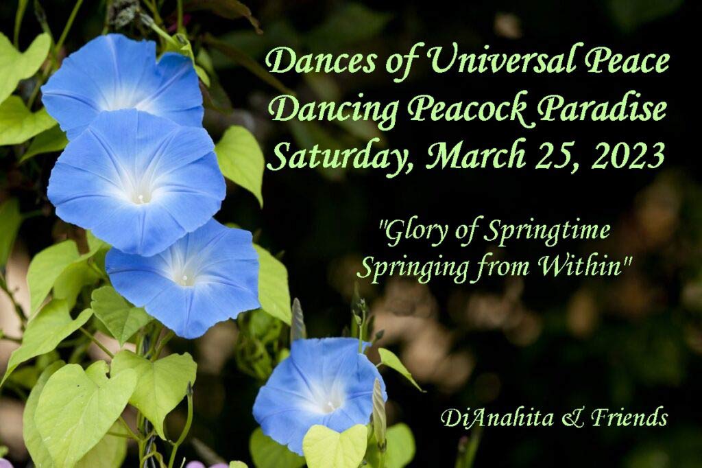 March 2023 at Dancing Peacock Paradise