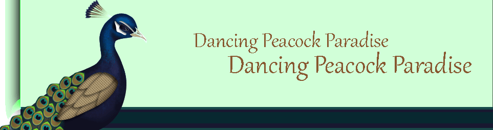 Dancing Peacock Paradise